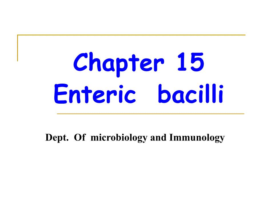 enteric bacilli