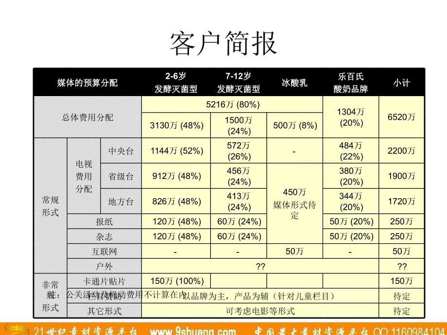 实力传播-乐百氏的媒介策略建议_第5页