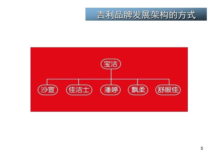 吉利品牌架构-企业品牌战略定位_第5页