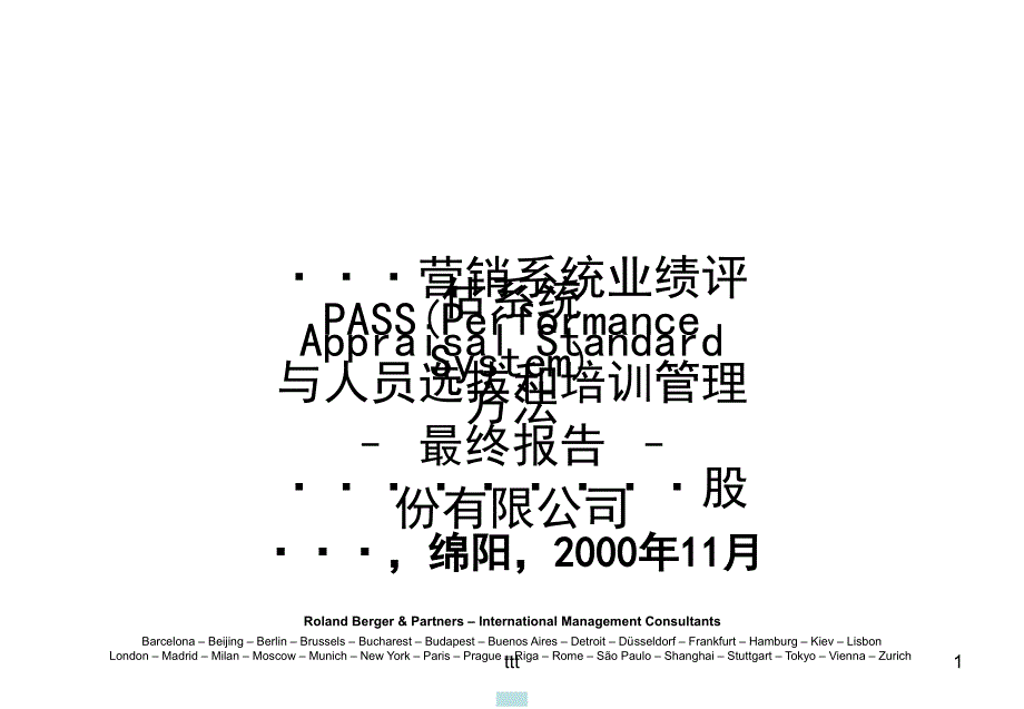 罗兰贝格—长虹营销系统业绩评估系统_第1页