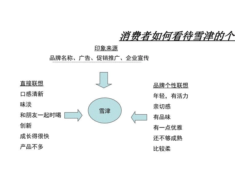 喜马拉雅-惠泉啤酒品牌形象策略研究_第5页