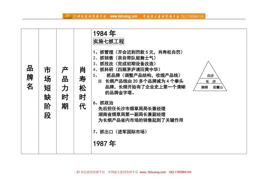 白沙品牌诊断及战略规划报告_第5页