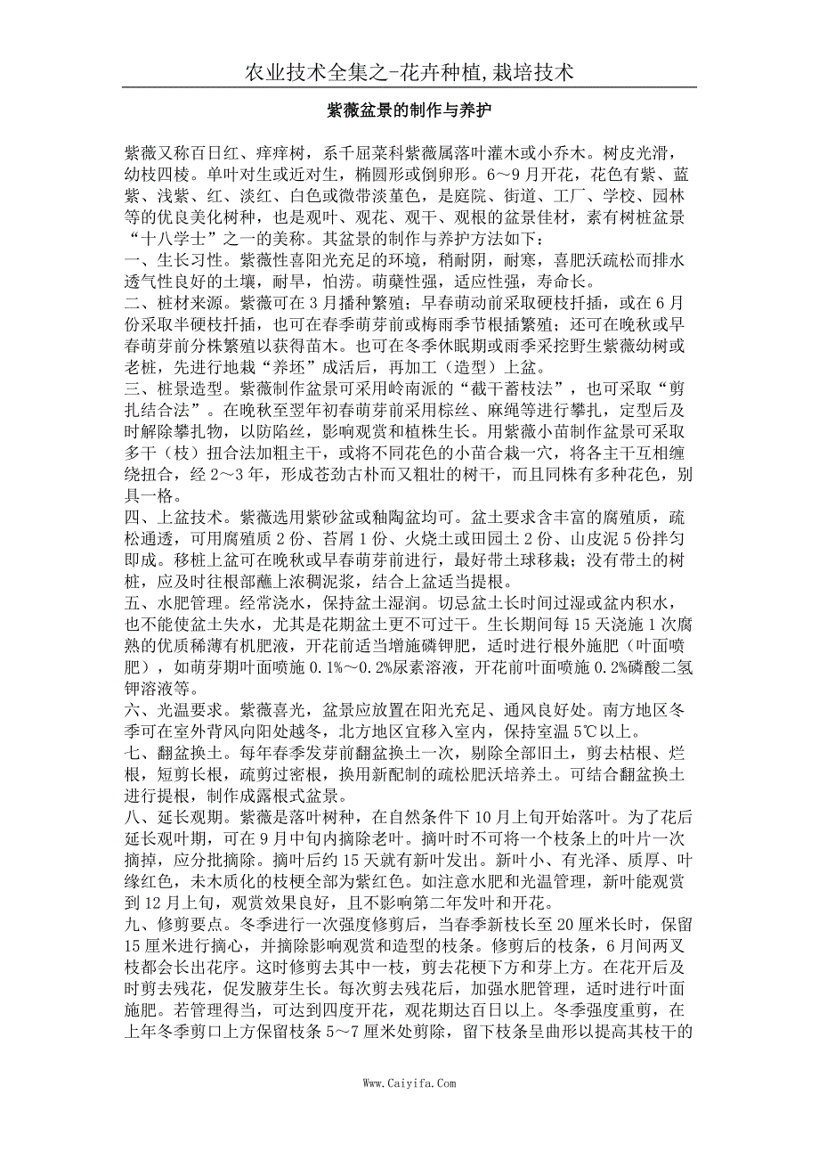 紫薇盆景的制作与养护_第1页