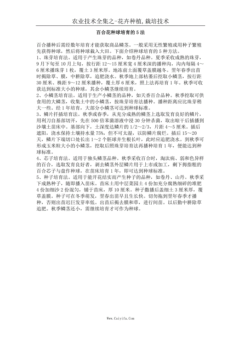 百合花种球培育的5法_第1页