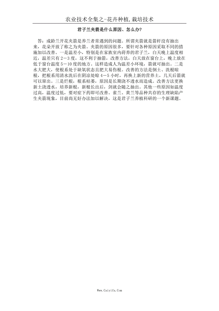 君子兰夹箭是什么原因、怎么办_第1页