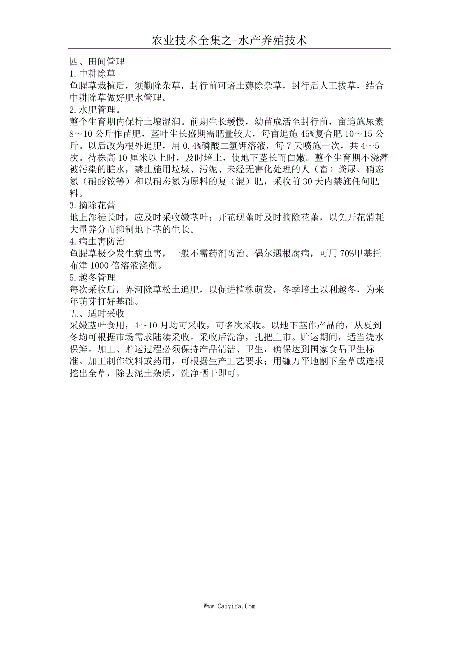 鱼腥草标准化栽培技术_第2页