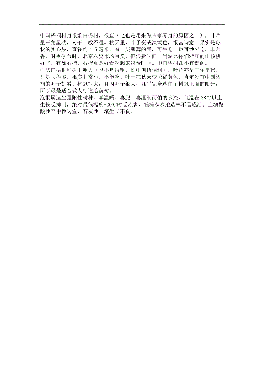 法国梧桐、泡桐和梧桐的区别_第2页