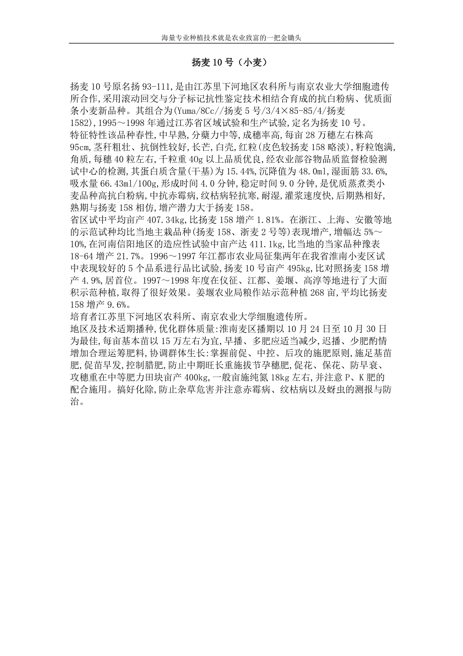 扬麦10号（小麦）_第1页