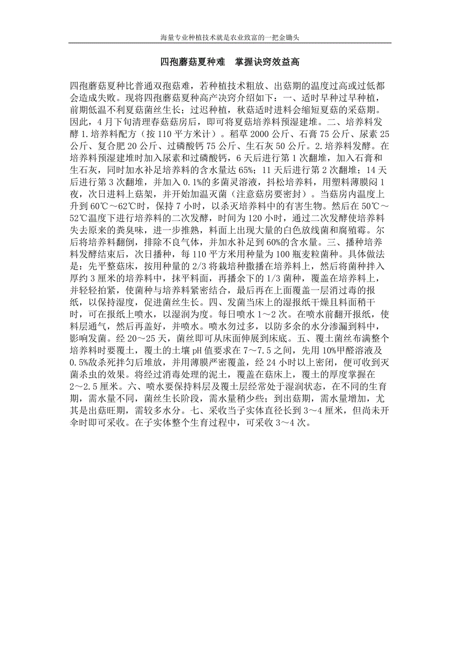 四孢蘑菇夏种难 掌握诀窍效益高_第1页