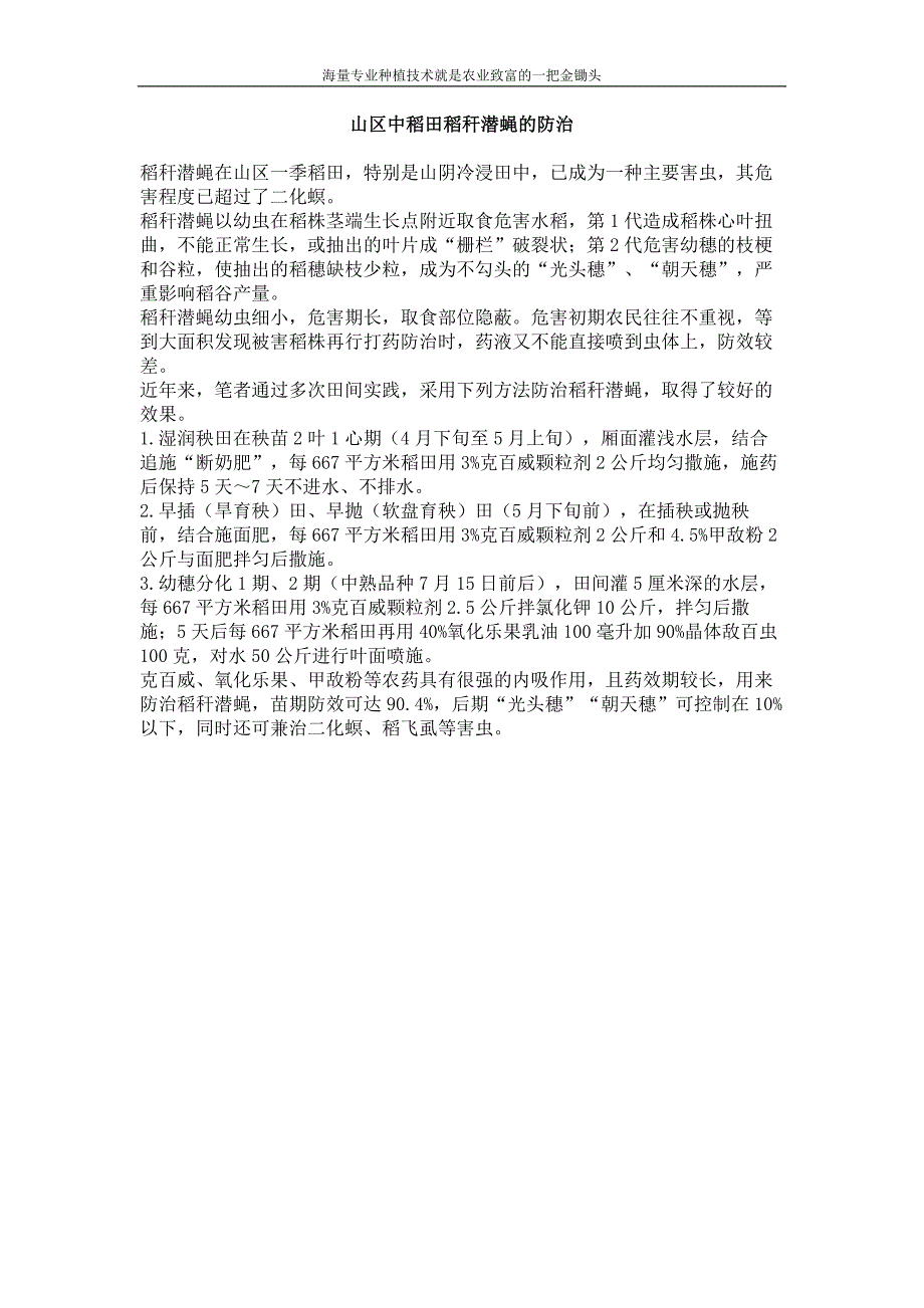 山区中稻田稻秆潜蝇的防治_第1页