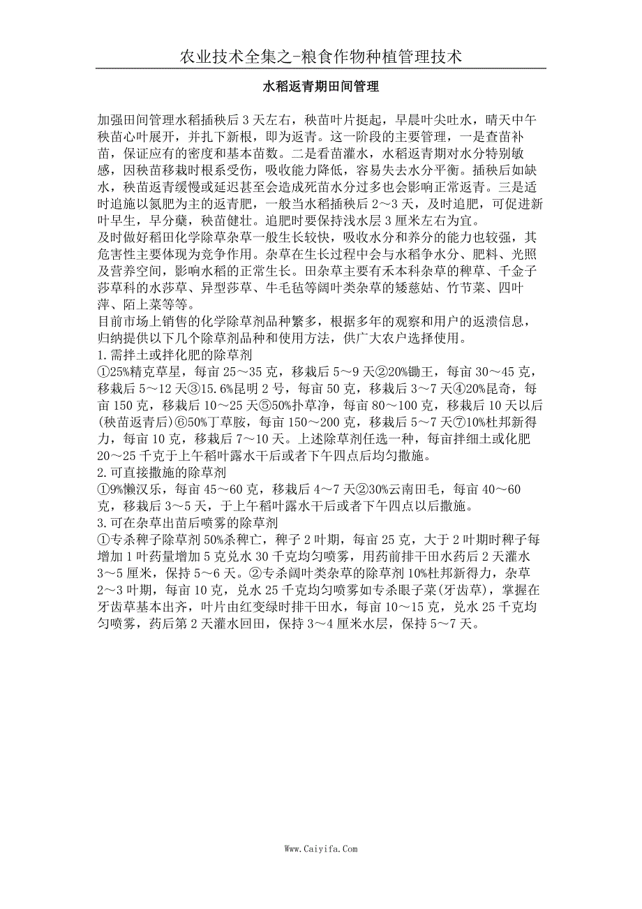 水稻返青期田间管理_第1页