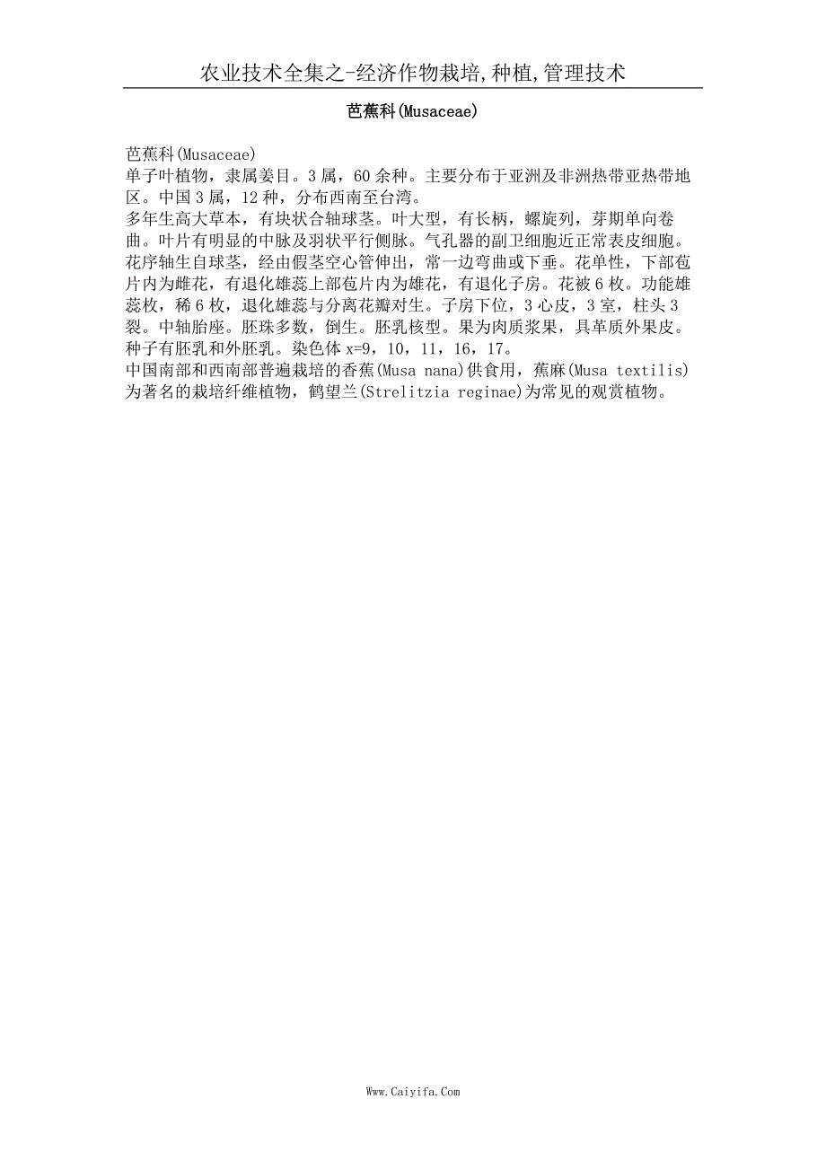 芭蕉科(Musaceae)_第1页