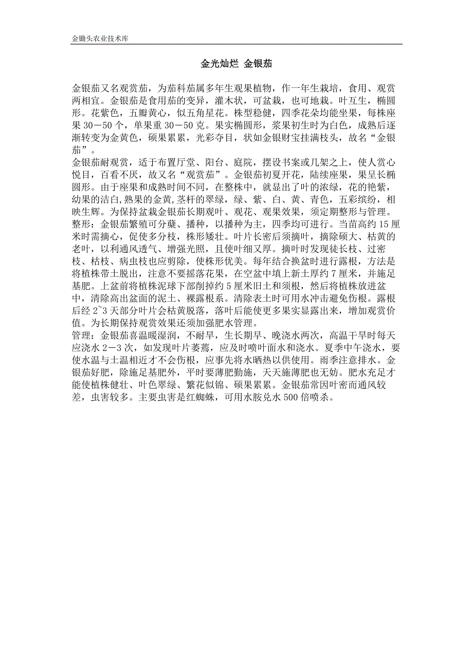 金光灿烂 金银茄_第1页