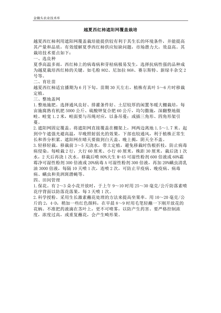 越夏西红柿遮阳网覆盖栽培_第1页