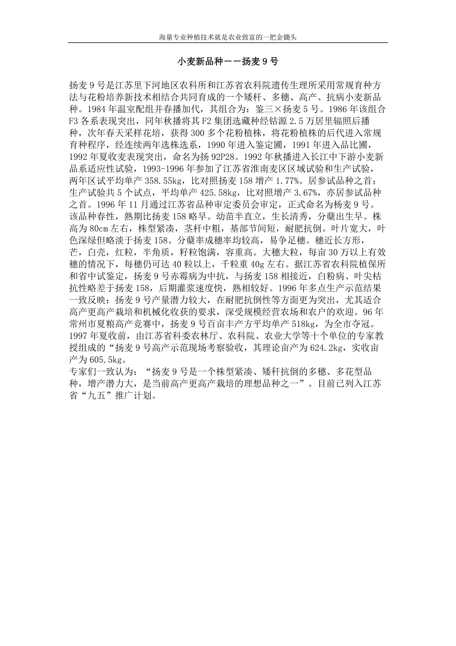 小麦新品种 扬麦9号_第1页