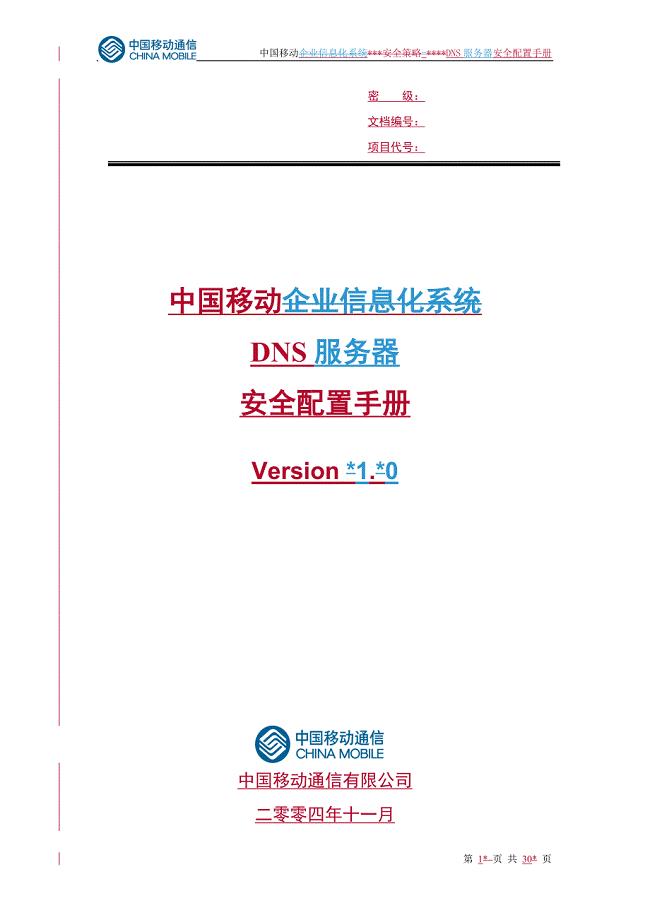 中国移动DNS服务器安全配置手册
