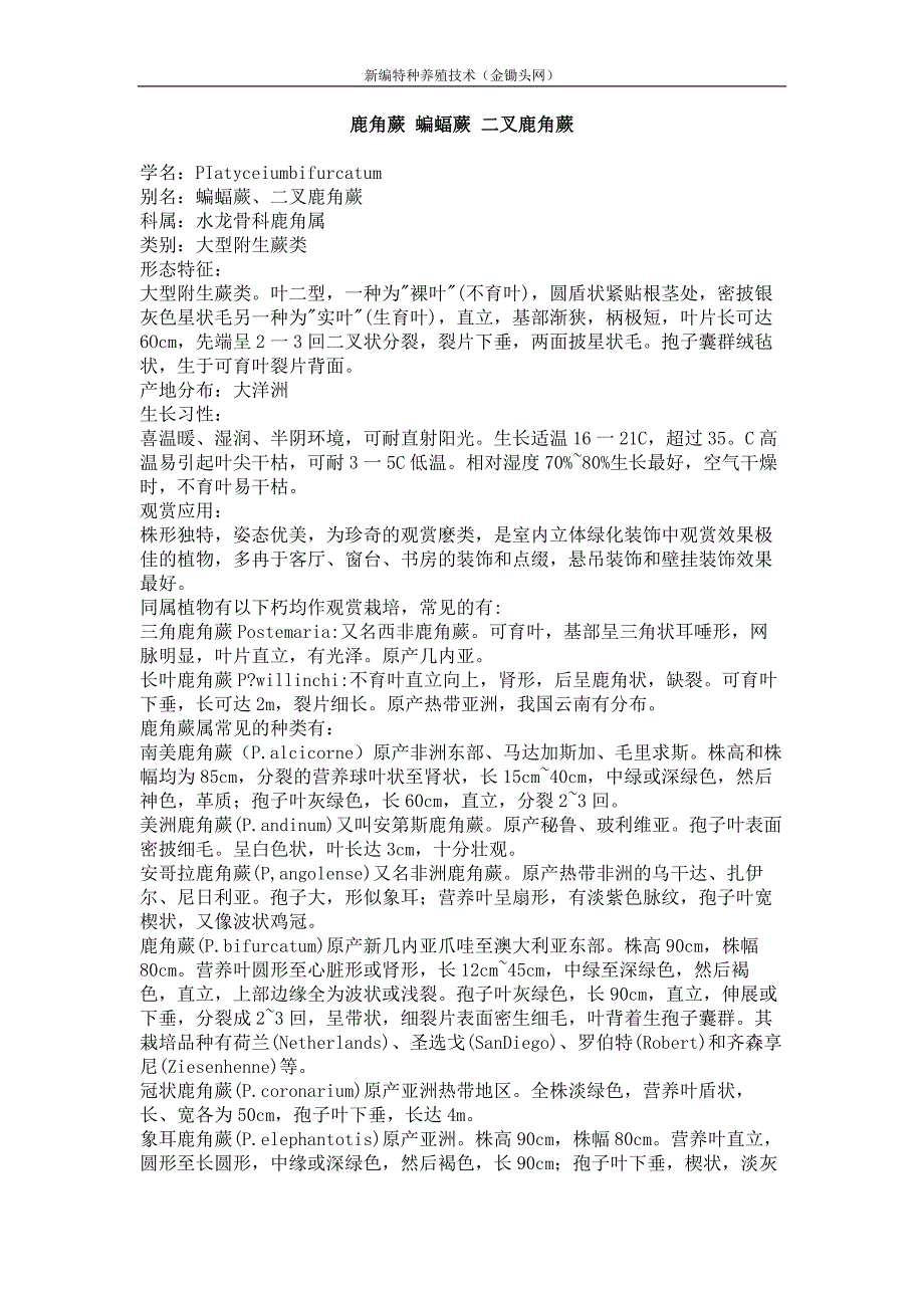 鹿角蕨 蝙蝠蕨 二叉鹿角蕨_第1页