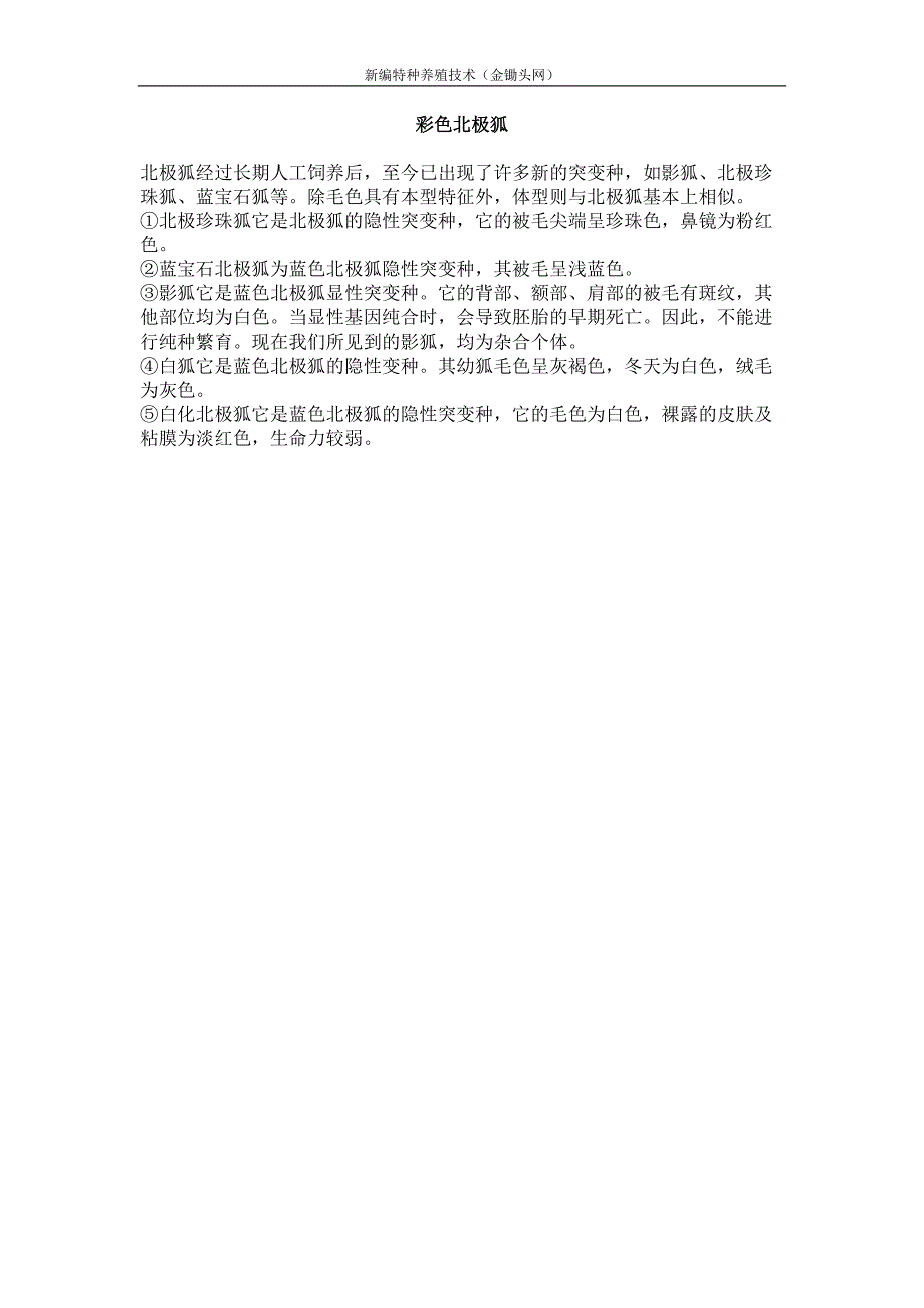 彩色北极狐_第1页