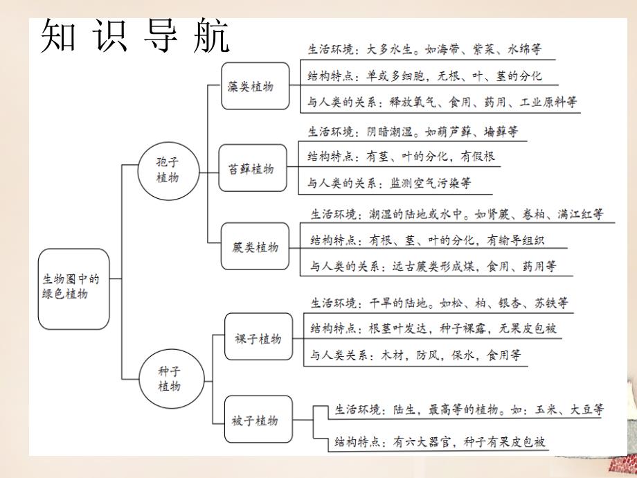 （深圳版）2016年中考生物会考ppt课件 第4单元-绿色植物的类型、被子植物的一生_第3页