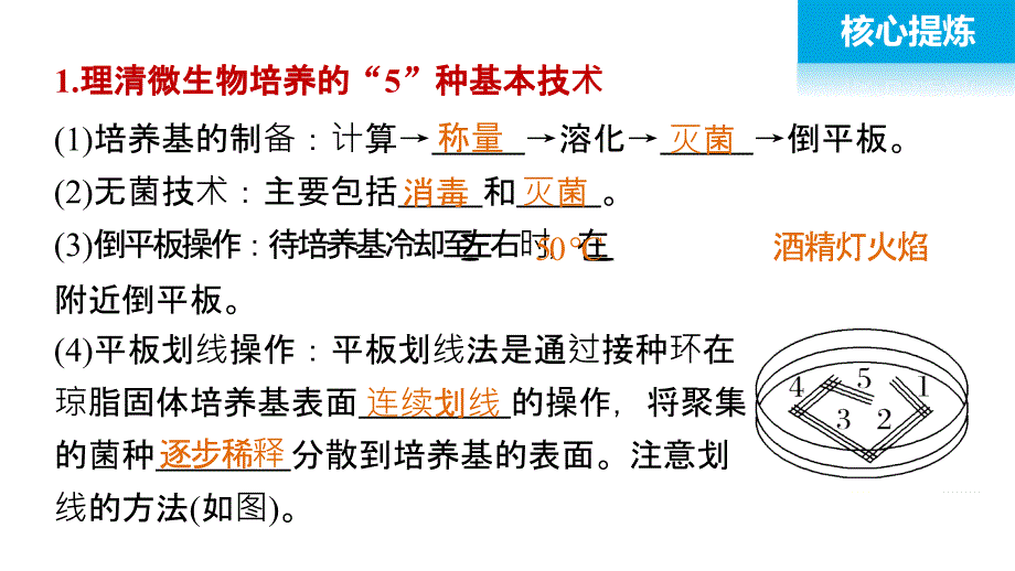 高考生物大二轮配套ppt课件 13-31微生物的利用与传统发酵技术的应用_第4页