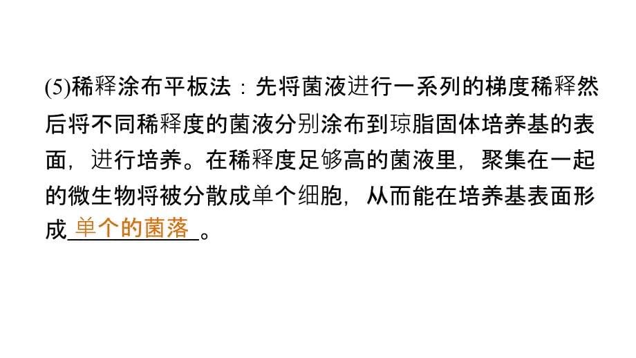 高考生物大二轮配套ppt课件 13-31微生物的利用与传统发酵技术的应用_第5页