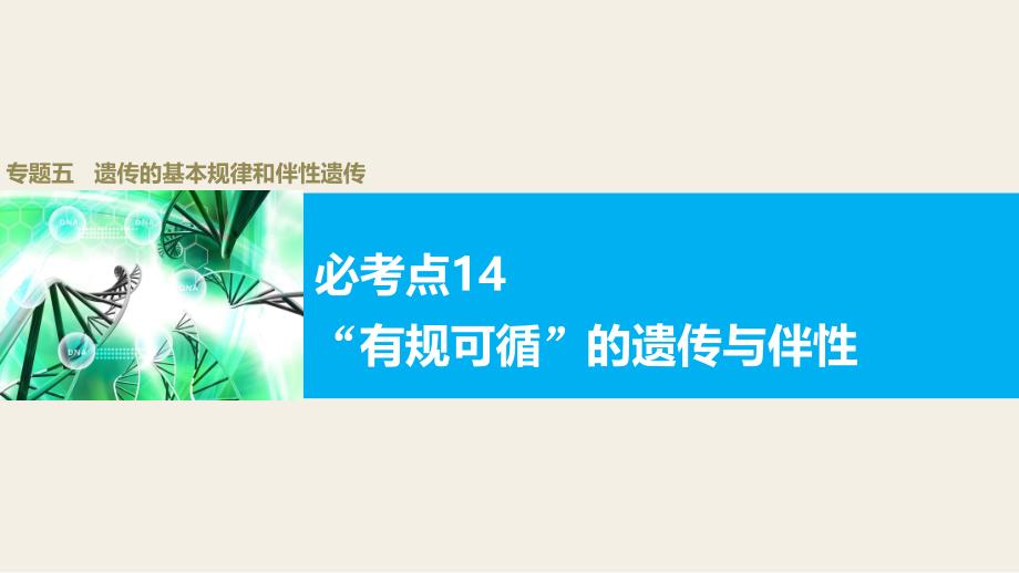 高考生物大二轮配套ppt课件 5-14“有规可循”的遗传与伴性_第1页