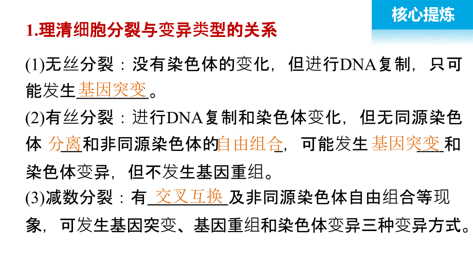 高考生物大二轮配套ppt课件 3-9“稳中求变”之细胞分裂中的遗传变异_第4页