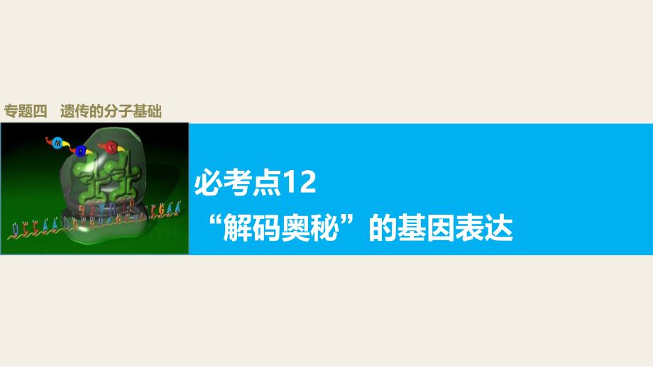 高考生物大二轮配套ppt课件 4-12“解码奥秘”的基因表达_第1页