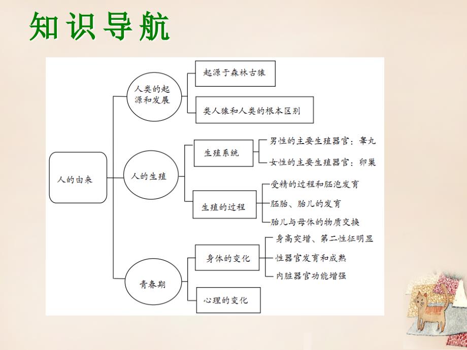 （深圳版）2016年中考生物会考ppt课件 第6单元-人的由来和人体的营养_第3页