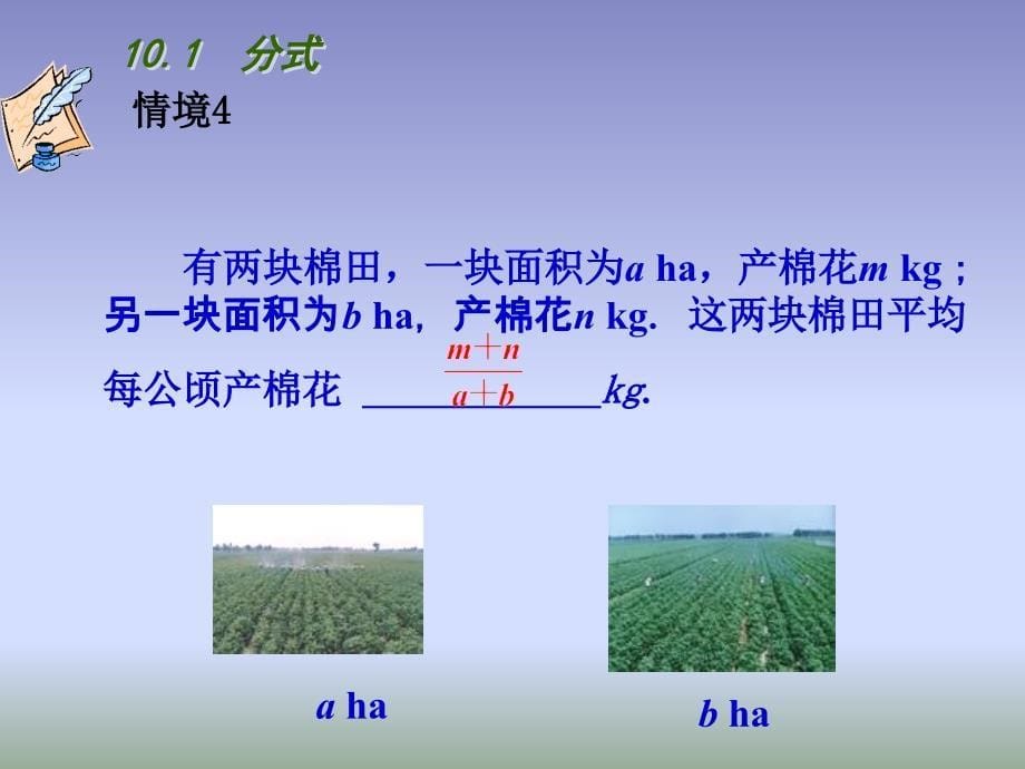 苏科版八下数学 10.1《分式》ppt课件2_第5页