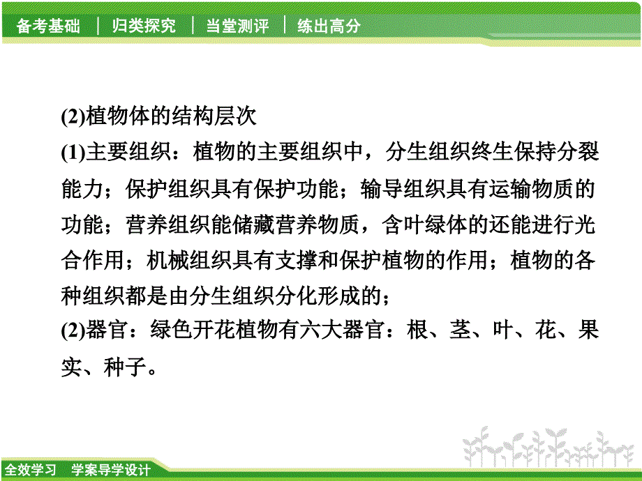 （华师大）科学中考二轮复习专题提升（1）-探究生物的结构ppt课件_第4页