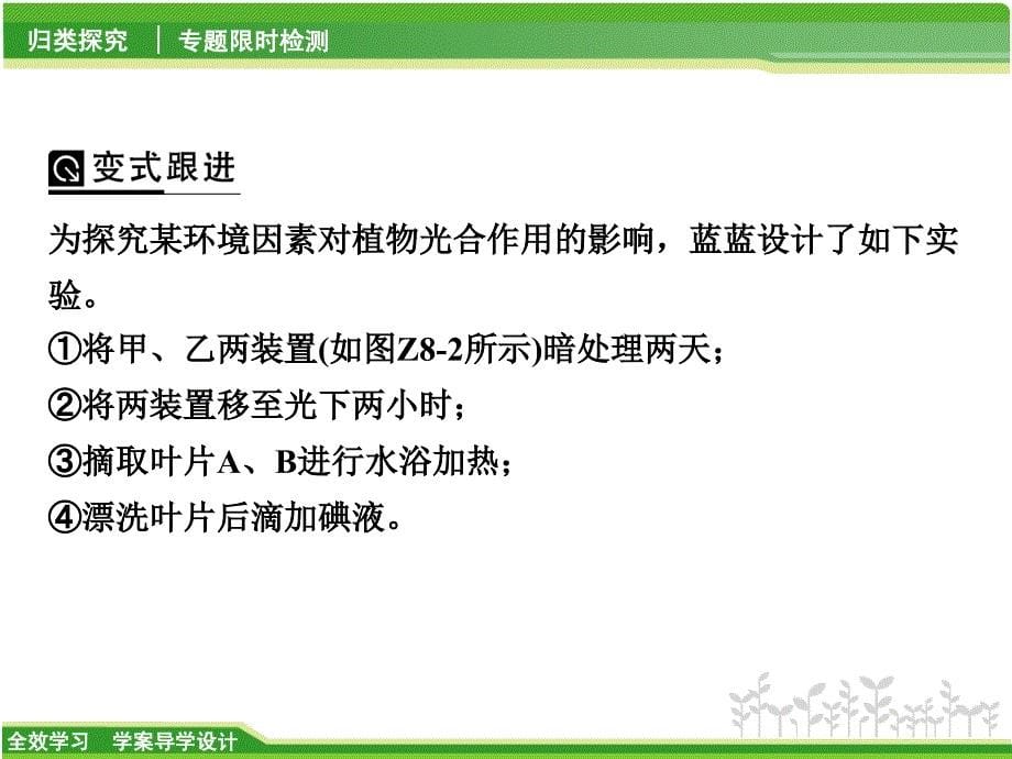 （华师大）科学中考二轮复习专题（8）-植物的新陈代谢ppt课件_第5页