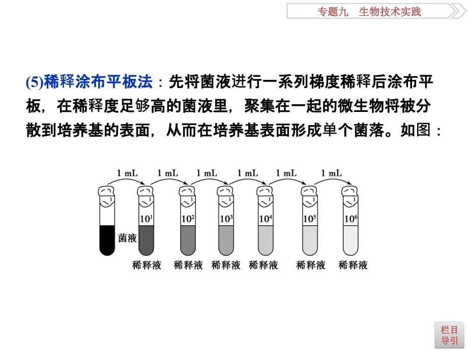 高考生物二轮复习 命题源9.19微生物的利用和生物技术的应用ppt课件_第5页