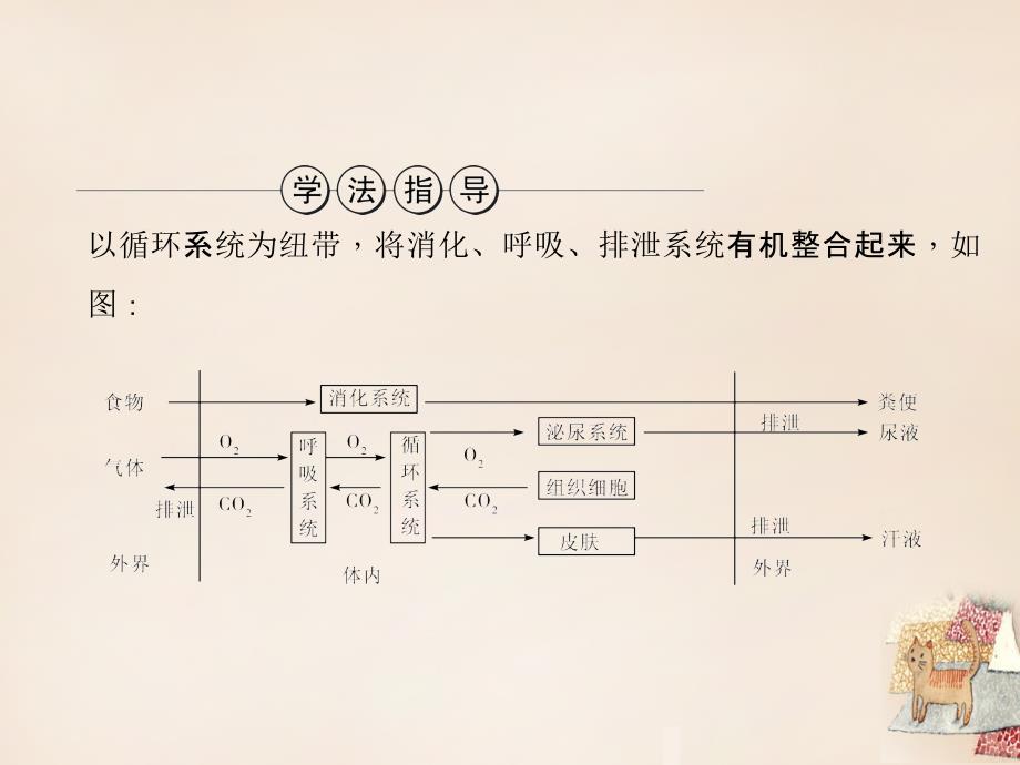 中考生物复习 专题5《生物圈中的人》ppt习题课件_第2页