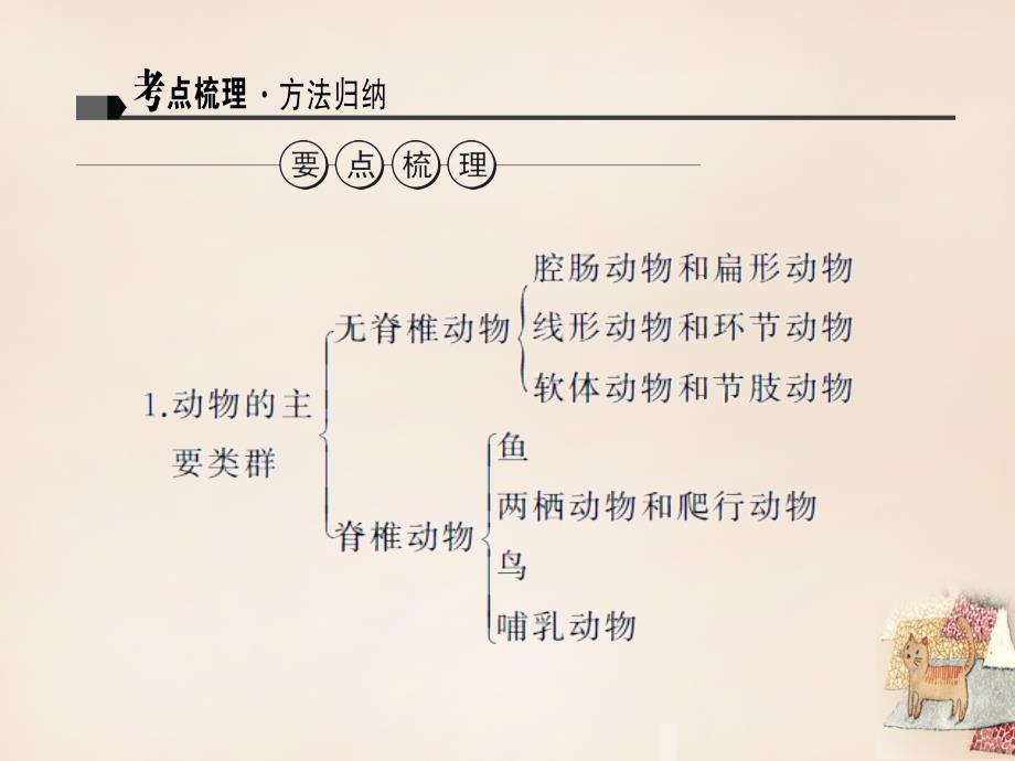 中考生物复习 专题6《动物的主要类群、运动和行为》习题课件_第2页