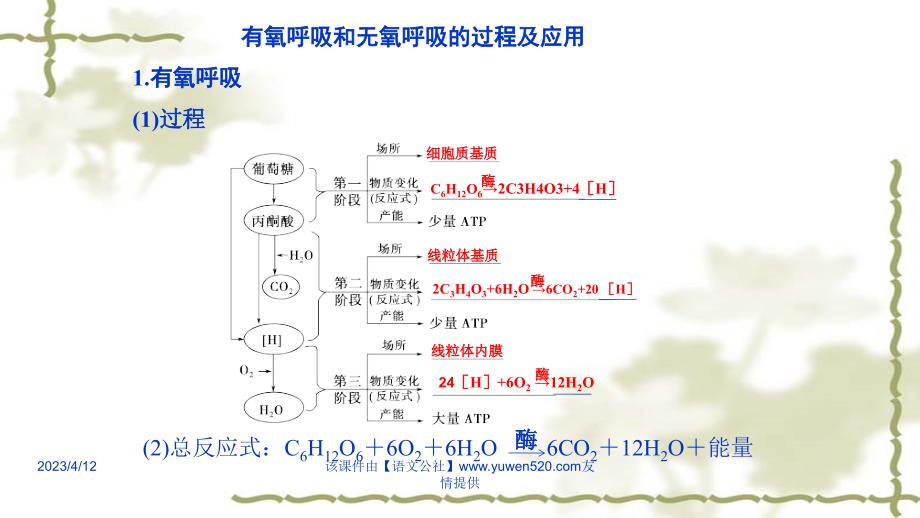 高考生物专题精讲ppt课件（5）细胞呼吸（共30张）_第4页