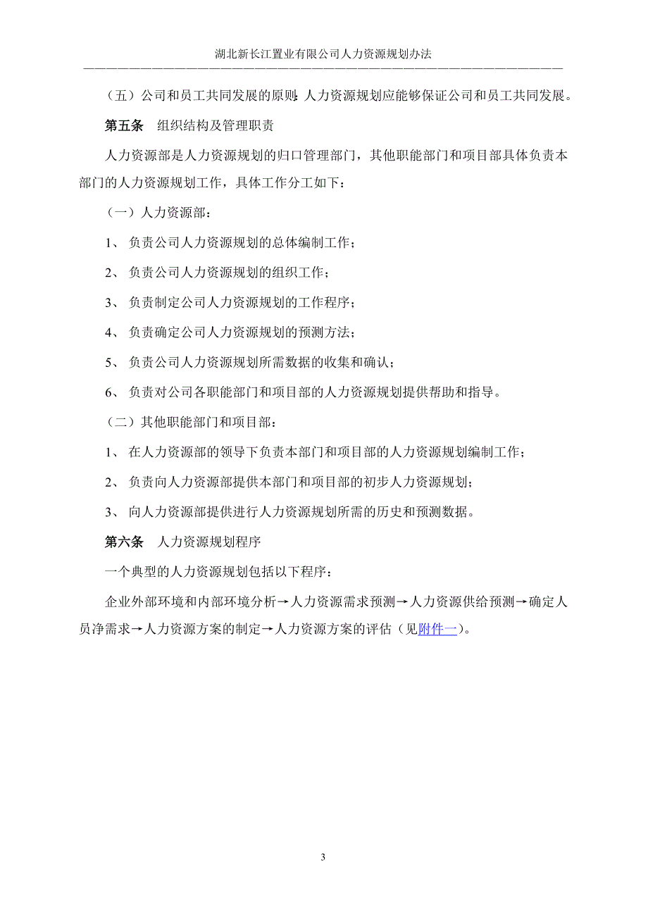 湖北新长江人资源规划制度_第4页