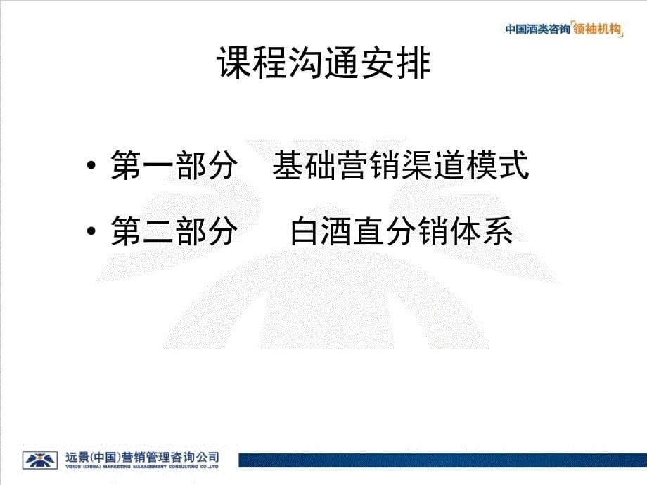 白酒渠道运作模式-点触直分销（食品行业商业计划书模板）_第5页