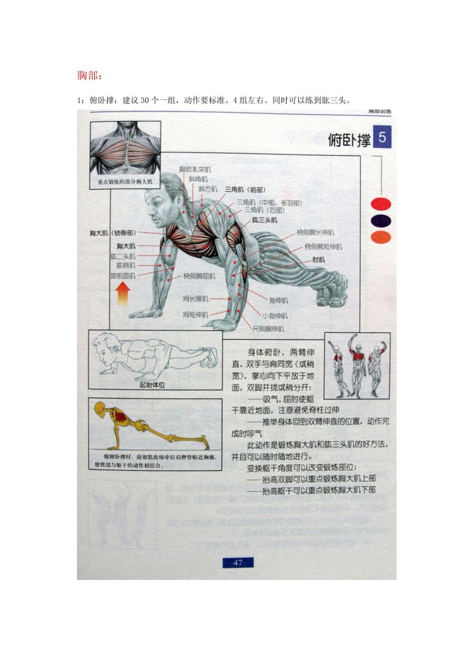 男士健身方案_第1页