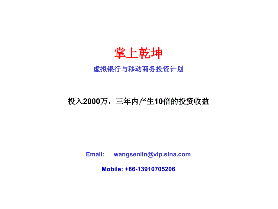 手机银行商业计划.（通迅项目商业计划书）_第1页