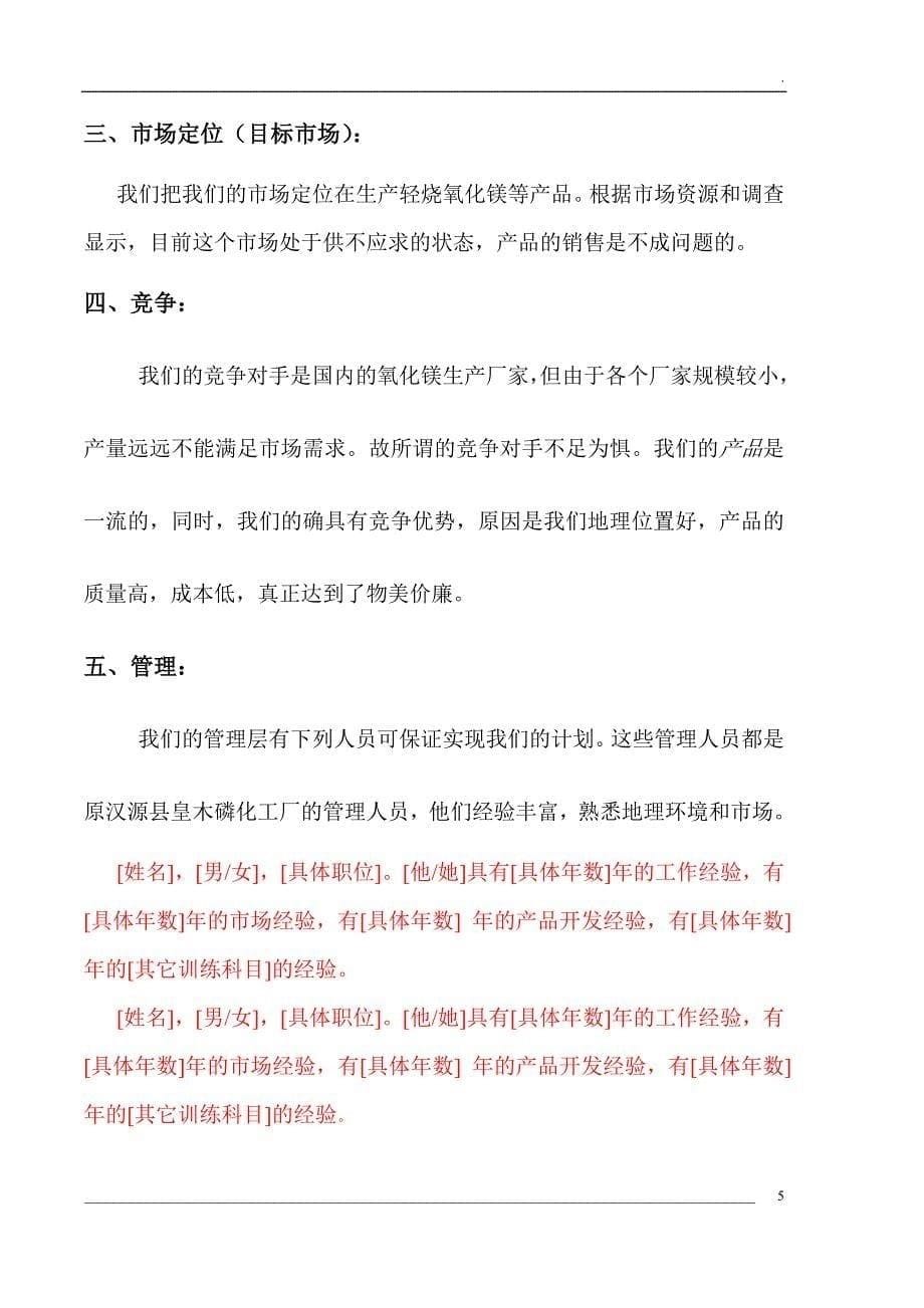 镁厂轻烧氧化镁项目商业计划书_第5页