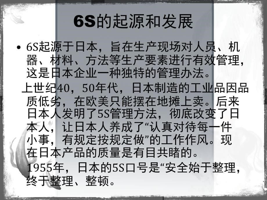 人力资源系统知识 6S讲义_第5页