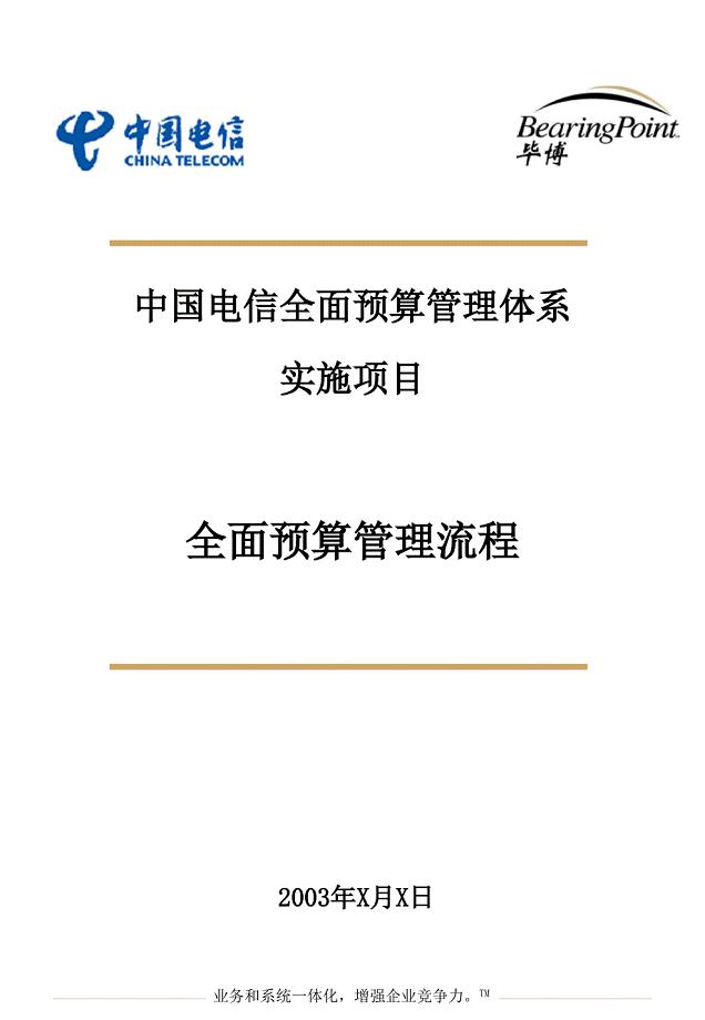中国电信全面预算管理流程-Template（人力资源－案例报告）