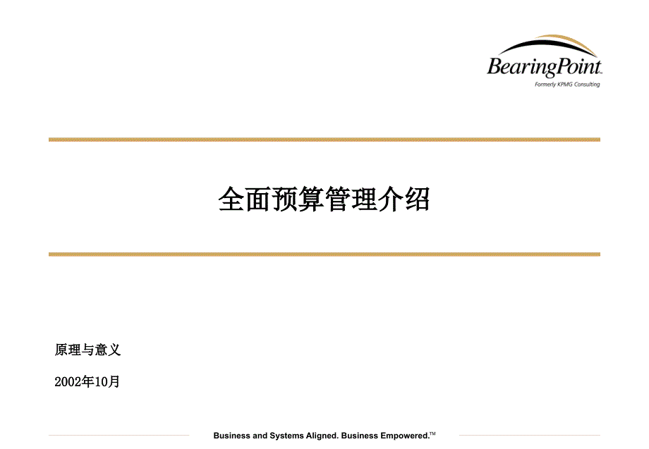 全面预算管理培训——毕博（2006）_第1页