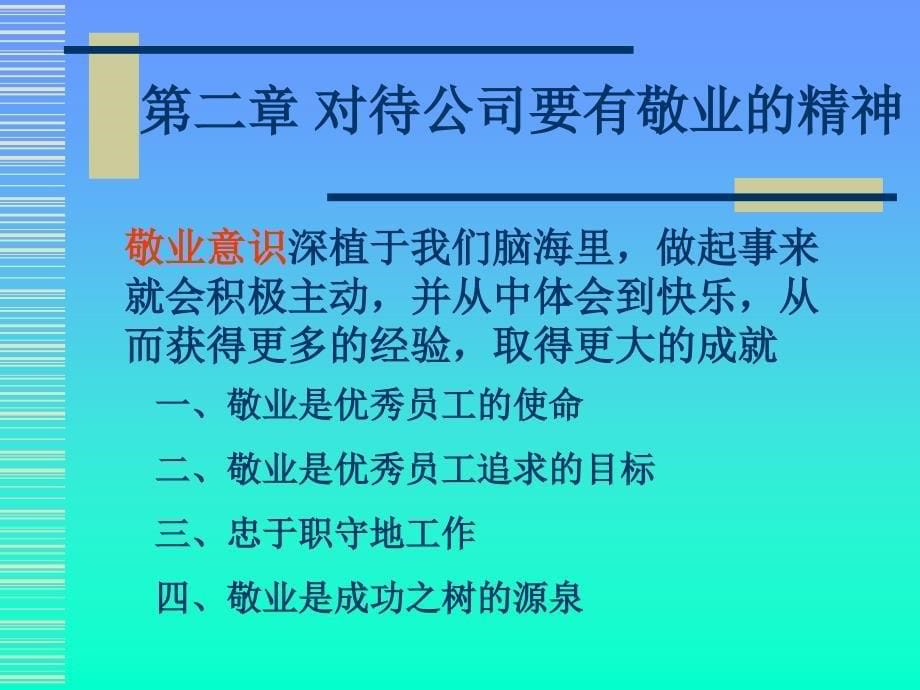 在岗人员工作精神训练（人力资源管理－选育用留）_第5页