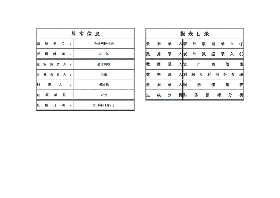 最专业最新的财务报表数据分析模板_第2页