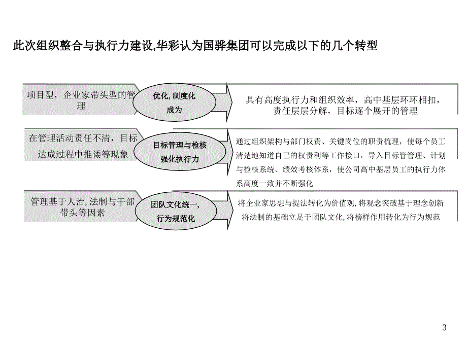 集团组织优化与执行力建设咨询项目建议书（人力资源－案例报告）_第3页