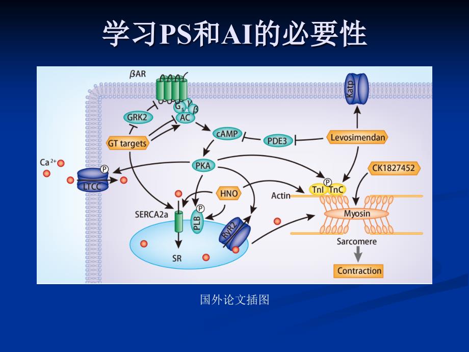 SCI论文插图规范-刘春_第4页