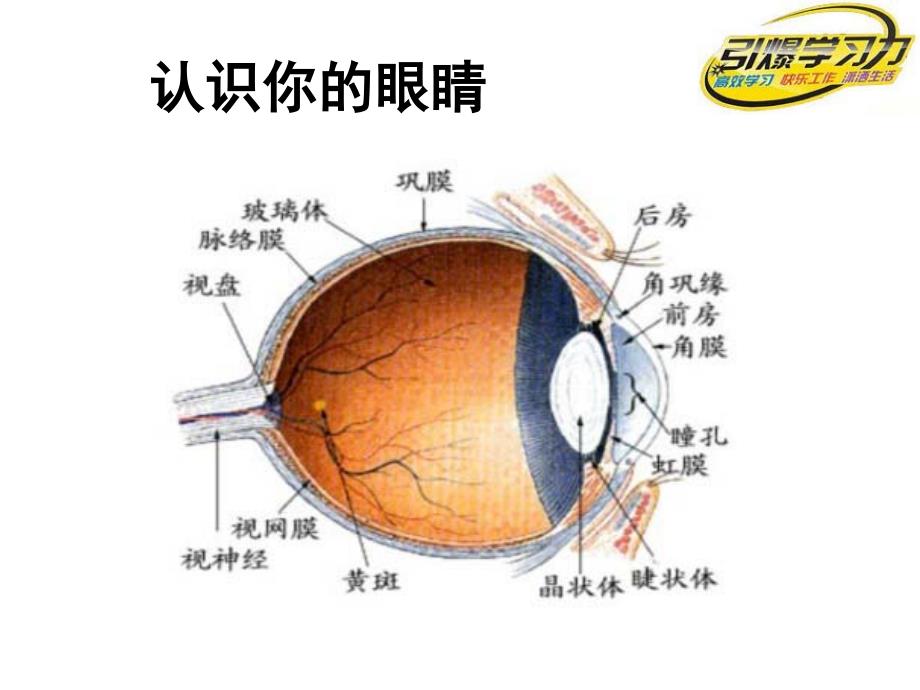 快速阅读—高清版(彩图)_第4页