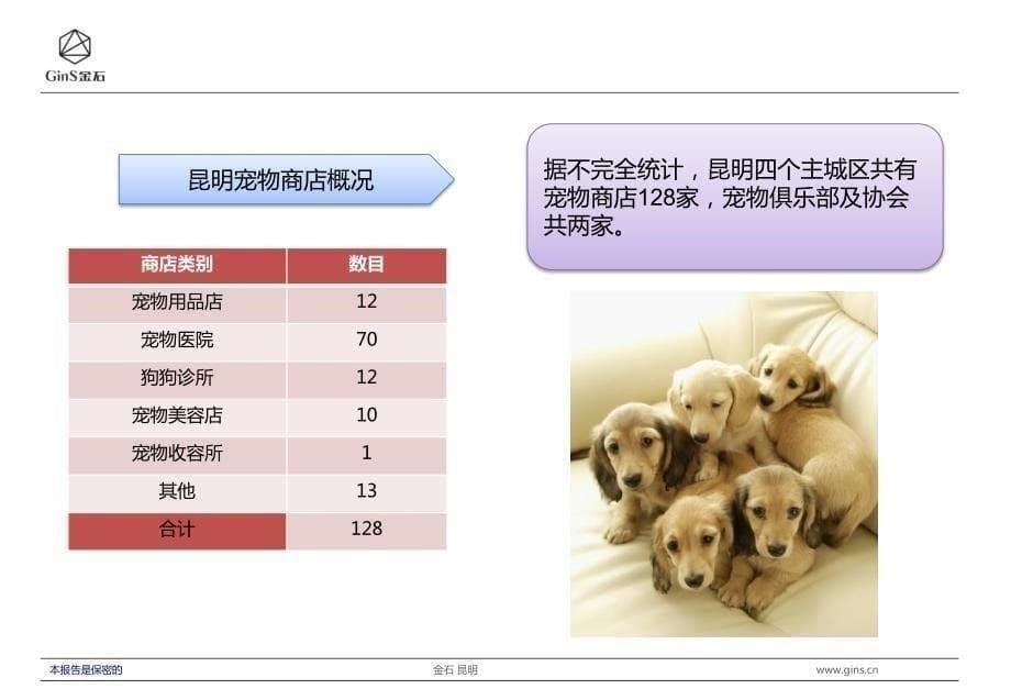 宠物公园设计方案_图文_第5页